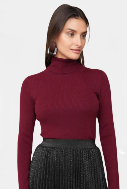 Maroon Winters Rib Knit Turtleneck.